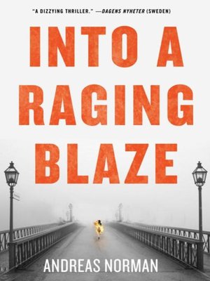 cover image of Into a Raging Blaze